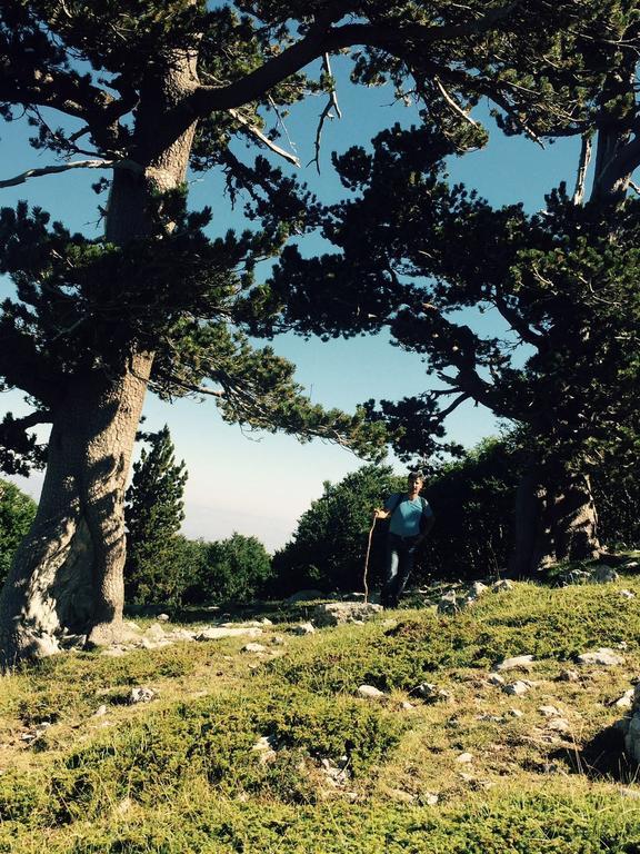 Отель La Stella Del Pollino San Lorenzo Bellizzi Экстерьер фото