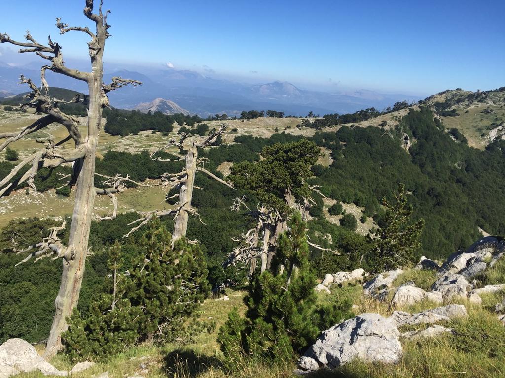 Отель La Stella Del Pollino San Lorenzo Bellizzi Экстерьер фото
