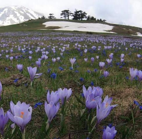 Отель La Stella Del Pollino San Lorenzo Bellizzi Экстерьер фото