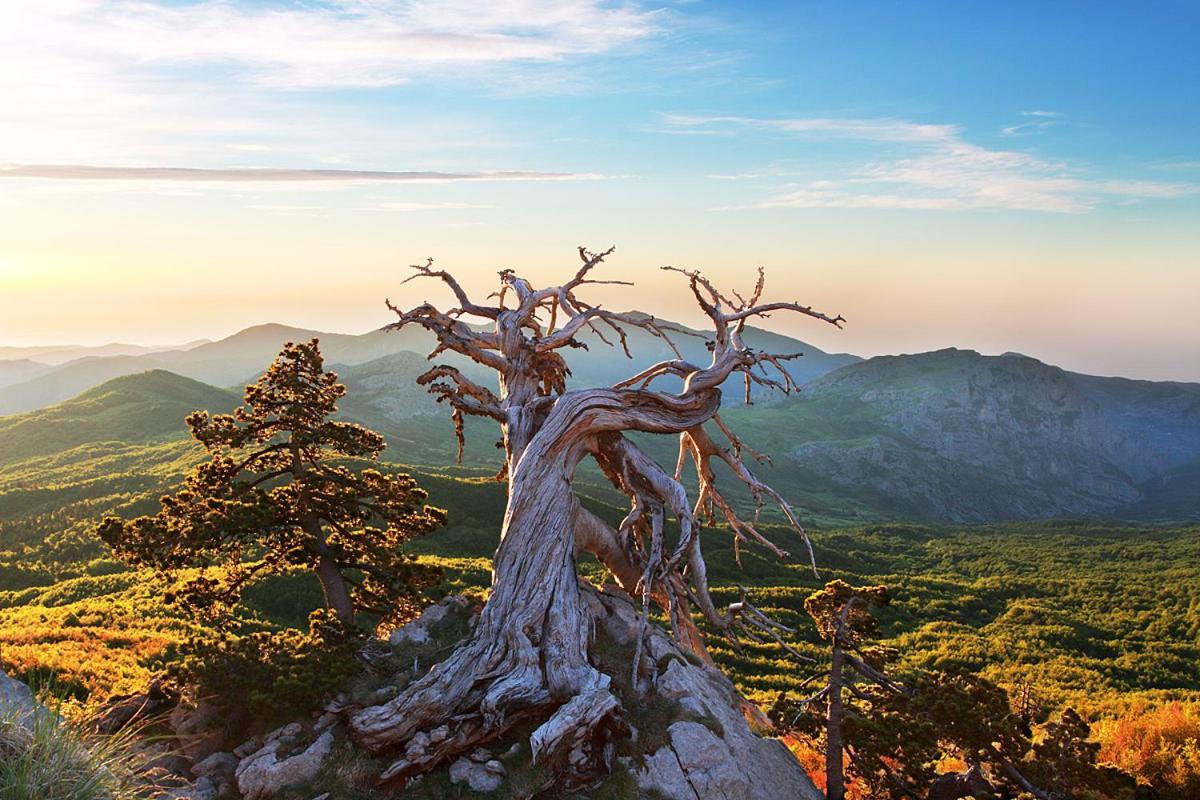 Отель La Stella Del Pollino San Lorenzo Bellizzi Экстерьер фото